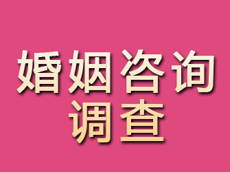 新会婚姻咨询调查