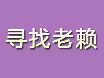 新会寻找老赖