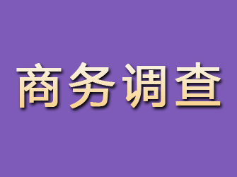 新会商务调查